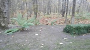 Могила Льва Николаевича Толстого в Ясной Поляне