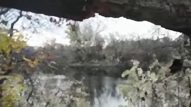 ПроЧтение смыслов / Евдокия Ростопчина