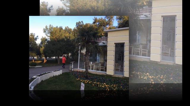 Все цветы в Геленджике смотреть онлайн