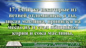 Послание к Римлянам с музыкой глава 11 читаем и слушаем