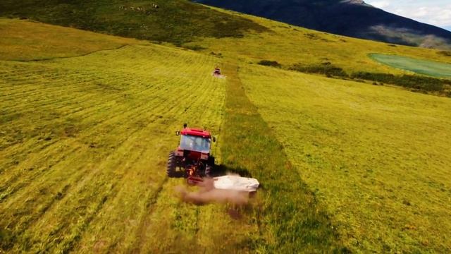 Сенокос. смотреть онлайн