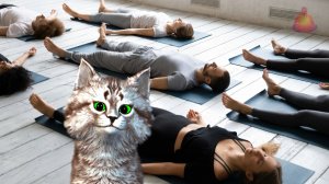 Управляйте своим дыханием, контролируйте свою жизнь.