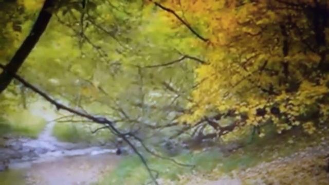 Александра Светлова Стихи в исполнении автора. смотреть онлайн