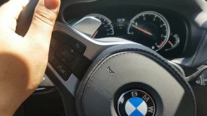 Скрип руля. BMW X3 30d G01 XDrive.