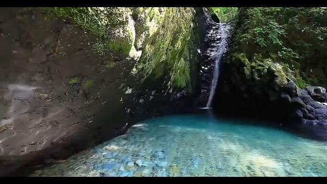 Как узнать, где сосредоточена негативная энергия в теле смотреть онлайн