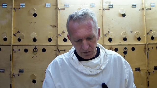 Народное средство от варроатоза пчел. Результат.