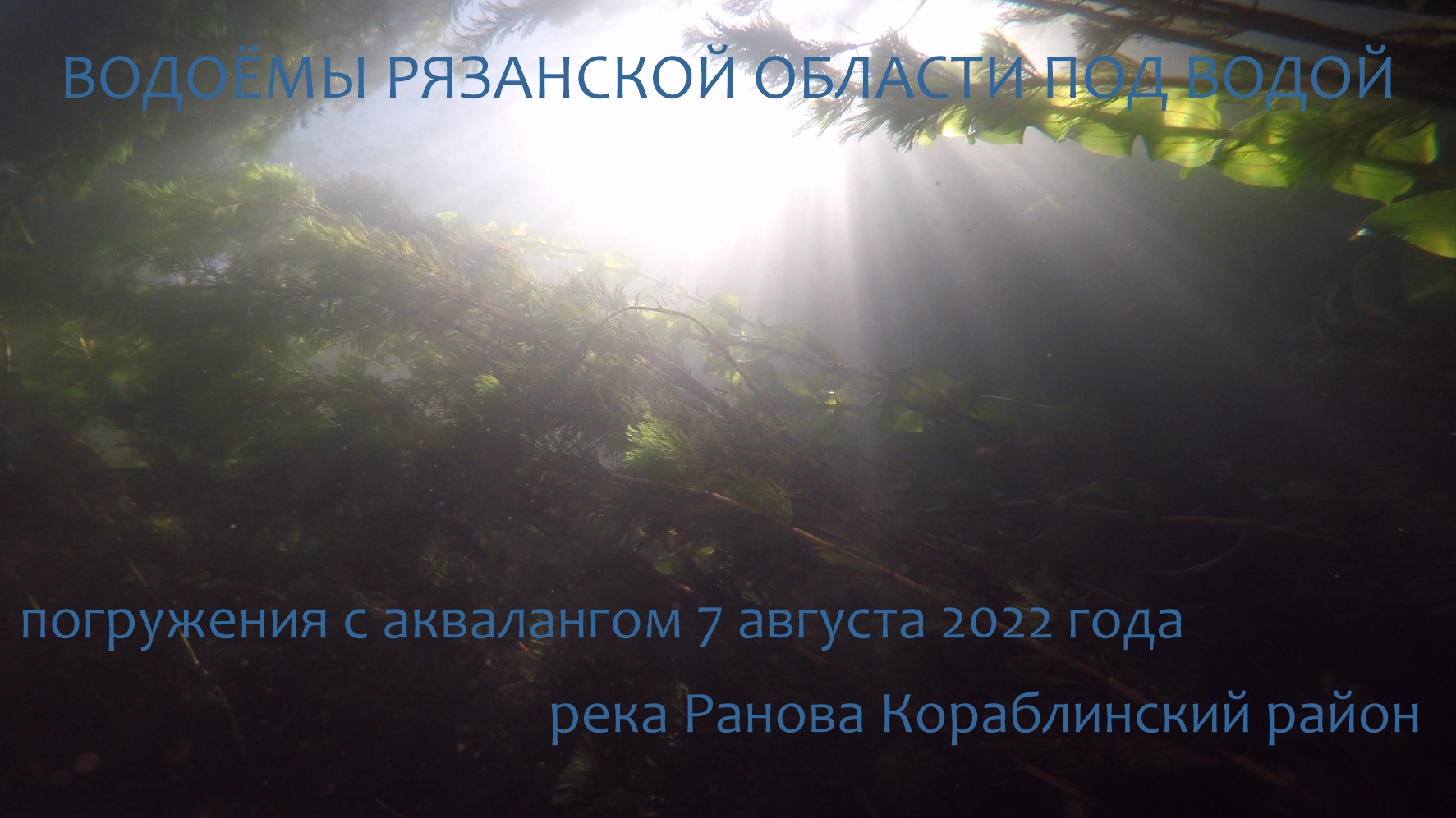 Под водой рязань. Река Ранова Рязанская область. Ранова вода. Фото дайверов под водой. Наблюдение за китами под водой без акваланга.