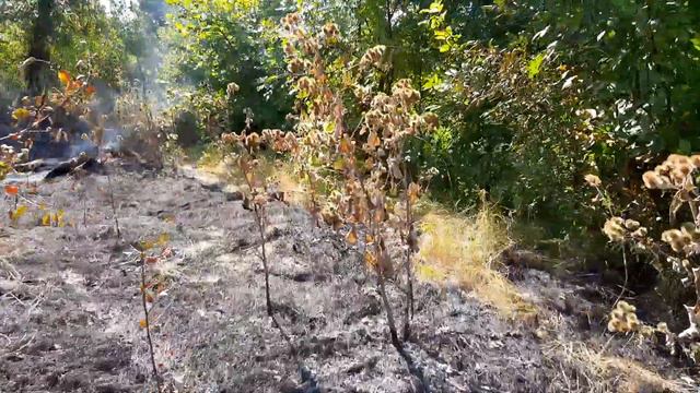 Новини Лисичанск,Северодонецк,Рубежное,Приволье. смотреть онлайн