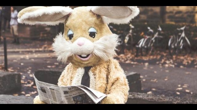 Влад Бахов и Дима Новоженин разоблачение разоблачений семьи Новожениных от Велеса Мастера. смотреть онлайн