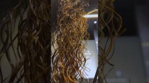 Био Завивка волос от BIANCA LUX