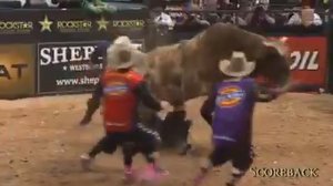 Быки против человека