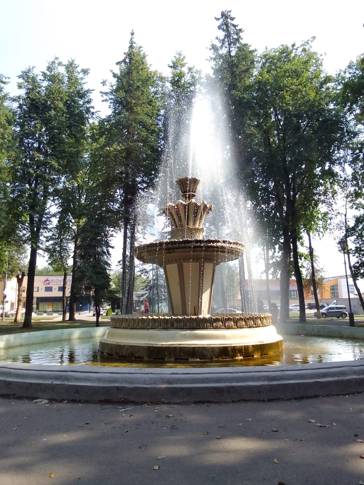 Псков.Фонтан в Ботаническом Саду