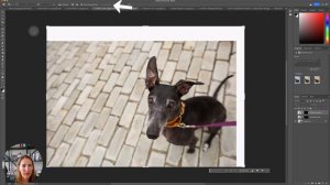 Using Photoshop Beta Generative Fill AI with Pet Photography