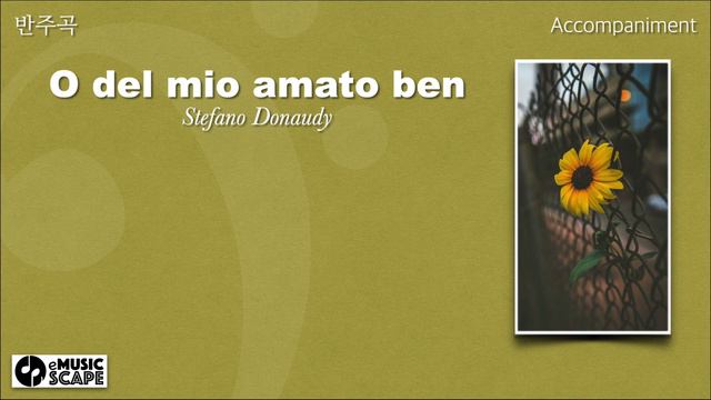 S. Donaudy, “O del mio amato ben” F Major Piano Accompaniment смотреть онлайн