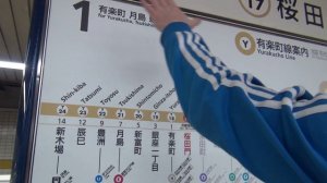 МЕТРО В ТОКИО: направление и номер линии / Tokyo Metro: line number and direction