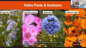 Gardening with Native Plants for Pollinators | Master Gardeners