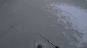 Опустил БАЛАНСИР в КОРЯГИ и ОНА ПОТЯНУЛА ВНИЗ!!! Зимняя рыбалка на щуку 2021! Жерлицы жгут!