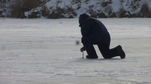 Рыбалка Зима 2018. 03.02.18. Пруд Общества слепых Белгородская обл. Ловим на жерлицы.