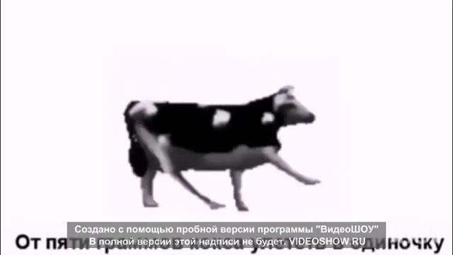 ПОЛЬСКАЯ КОРОВАПЕРЕВОД ПЕСНИ