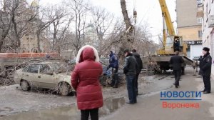 Кран поднимает упавшее на машины дерево в Воронеже