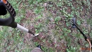 #147 Поиск в лесу с Fisher F75 RUS