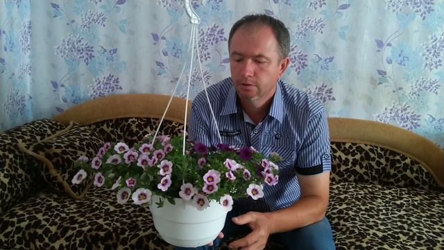 Почему пропадают цветы в подвесных горшках (кашпо)?