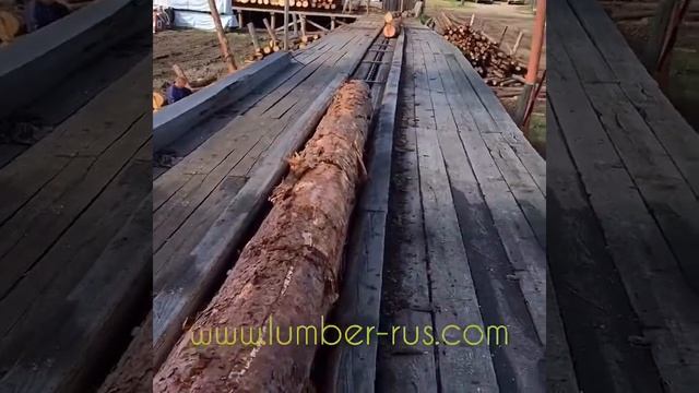 Сортировочная линия. Бревнотаска.  Подача пиловочника в лесопильный цех.