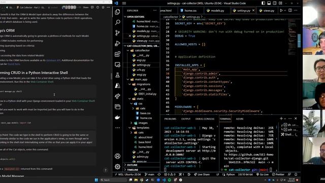 Cat Collector Part 2 - Django Models смотреть онлайн