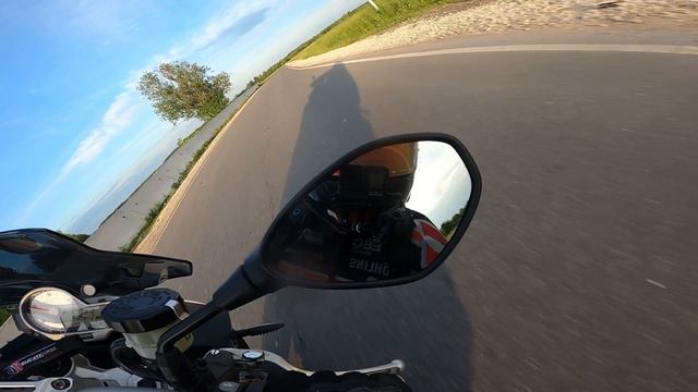 Вечерус Прохватус