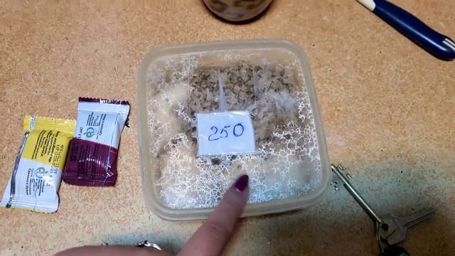 МИНДАЛЬНЫЙ ПИЛИНГ В ДОМАШНИХ УСЛОВИЯХ/ ПОКАЗЫВАЮ ОГОРОД / УЖЕ ЕДИМ РЕДИСКУ