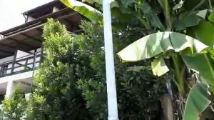 Гостевой дом Маяк ждёт своих гостей. Пицунда.