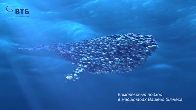 bank VTB смотреть онлайн