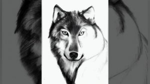 Бумер#bumer#bmw#карачайский бумер#клипы#Динислам Дудов #Бэха рулит#мы тюрки мусульмане братья.?☪️?