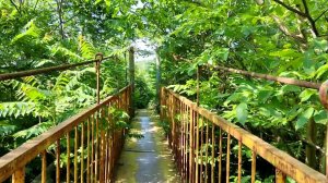 Город Днепролрудный. Мост возле гаражей и ставка. 19.06.2023.