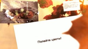 Как оформить клумбу своими руками