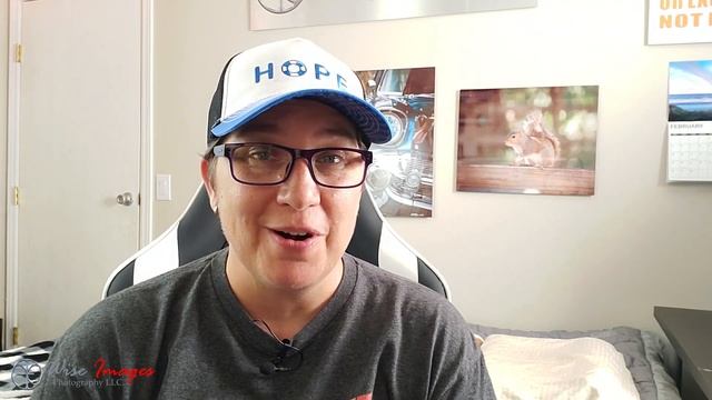 Great Birding Spots//Near Orlando, FL//Orlando Wetlands Park//Things to do in Orlando смотреть онлайн