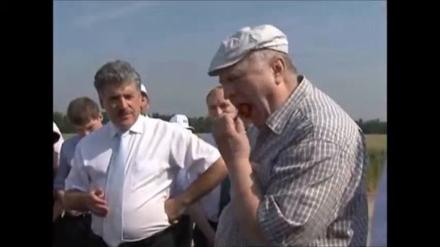 Жириновский: Сбор клубники 2013! смотреть онлайн