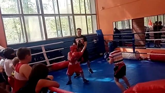 Бокс г Павлово, 15 мая 2021 смотреть онлайн