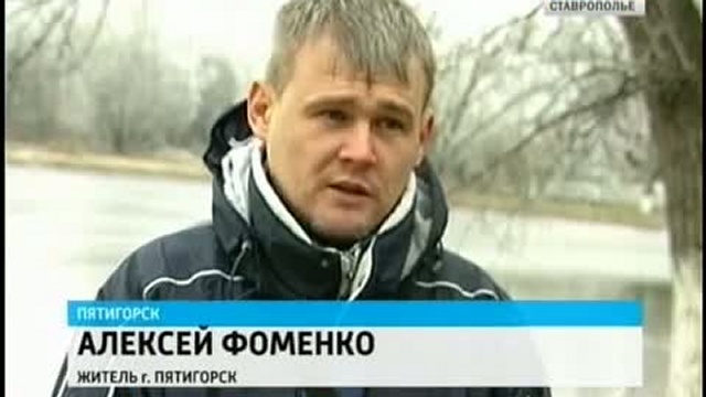 Пара белых лебедей замерзает в пятигорском парке