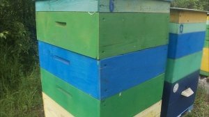 Розовая акация. Пластиковая вощина.