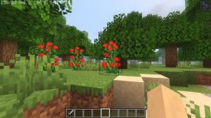 [1.16.4] 4 Best Low End Shaders for Minecraft 1.16.4 | High FPS Minecraft Shaderpacks 1.16.4