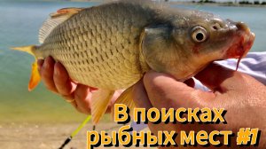 В поисках Рыбных МЕСТ - СЕРИЯ № 1 // Даже не ожидали, что поймаем???