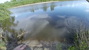 БЕШЕНЫЙ КЛЕВ КРУПНОГО КАРАСЯ на донку! Рыбалка на фидер на реке! Рыбалка в красивом месте!