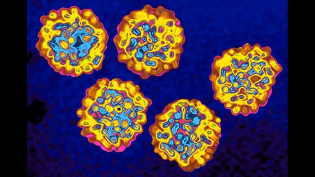Природные и домашние средства для гепатита B смотреть онлайн