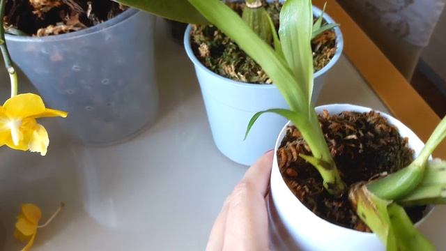 Как дела, кто молодец... в общем, поговорим?) смотреть онлайн