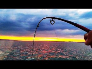 Снова ЛОМАЕТ СПИНИНГ !!! ОН ВЗЯЛ! Ловля СОМА на квок. Рыбалка в Жару под 40 !