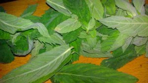 Компот из фиников, яблок и мяты