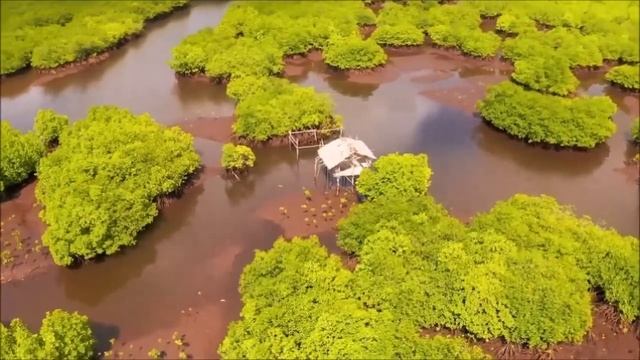 О ВАШИХ ПРОШЛЫХ ВОПЛОЩЕНИЯХ. Послание Сен Жермена