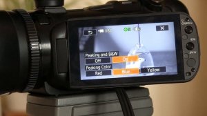 Canon XA10 Induction Part 2