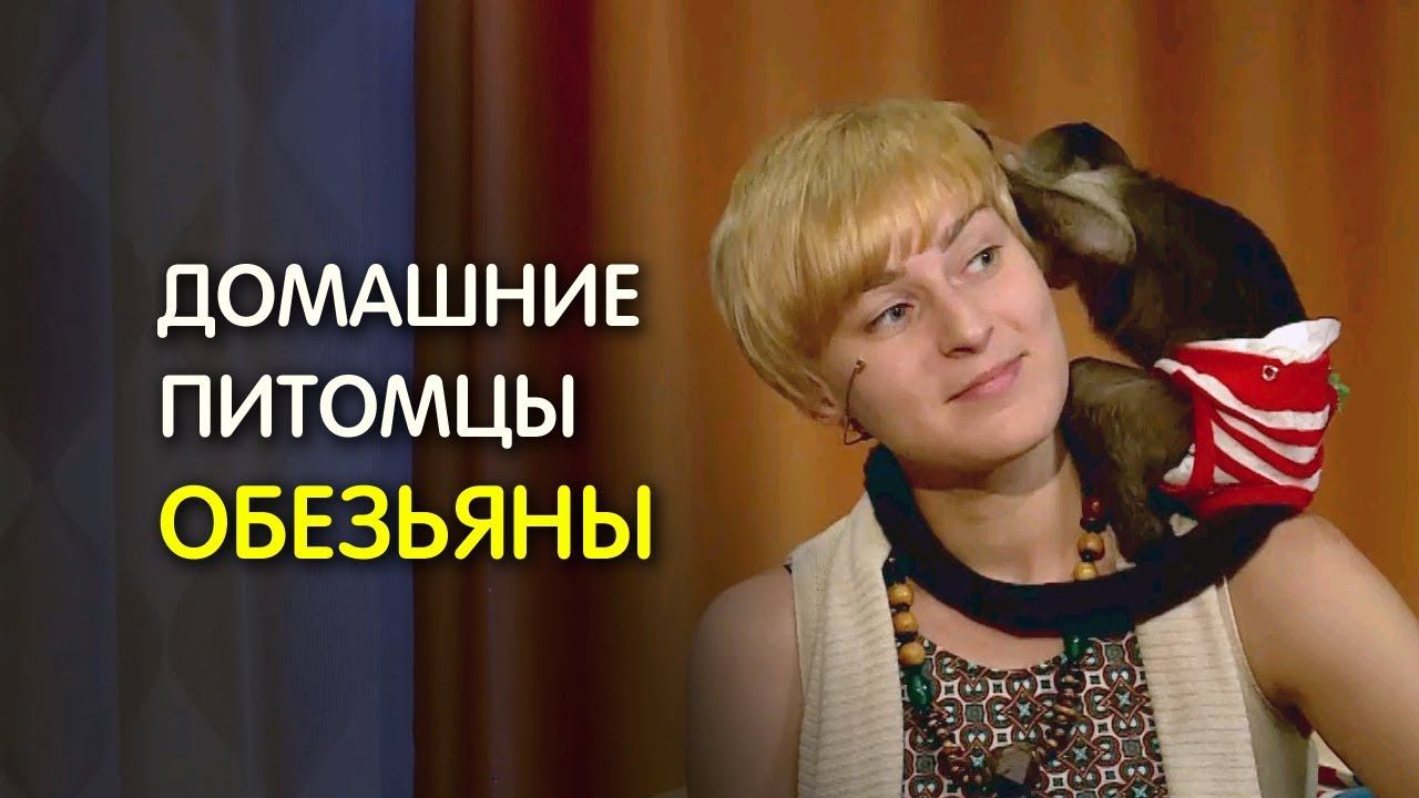 Как воспитать обезьяну